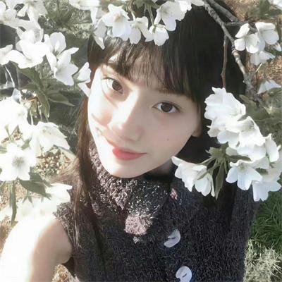 熊霸天下